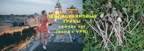 герыч Алексин